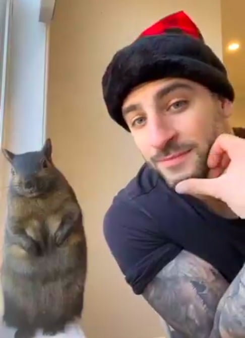 Segundo o Departamento de Conservação Ambiental (DEC), o homem não tinha permissão para manter animais silvestres em casa, o que levou à apreensão.