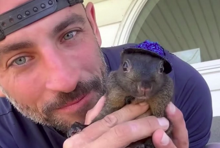 Durante a captura do animal, feita no dia 30/10, o esquilo mordeu um oficial do DEC, o que acabou levando à necessidade de eutanásia dos dois animais por suspeita de raiva. 