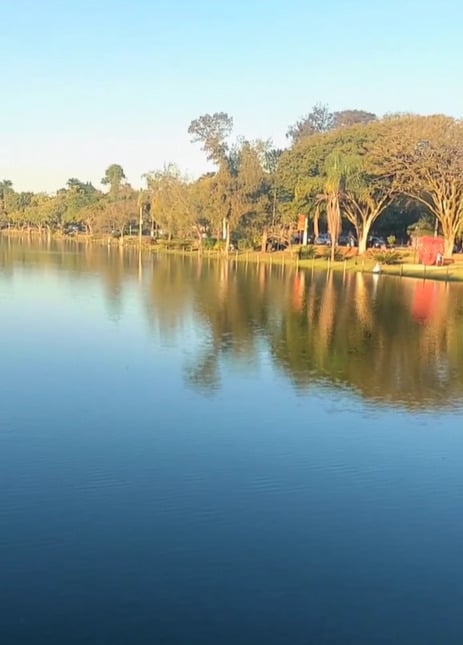 O Lago Vitória Régia, em Holambra, tem uma bela paisagem onde vivem animais que chamam atenção dos visitantes, como patos e capivaras. Um lugar perfeito para contemplação e descanso. 