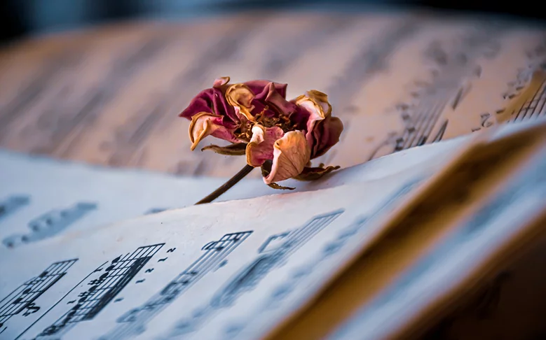 Assim como Verdi, existem artistas que representam tão bem um gênero musical que são praticamente sinônimo do ritmo escolhido para a sua carreira. Referências incontestáveis.