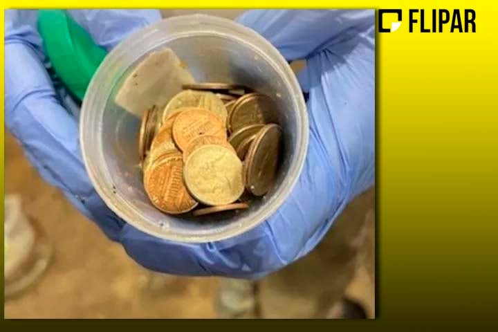 No procedimento, a equipe recorreu a uma câmera e retirou com sucesso cerca de 70 moedas das entranhas do jacaré.
