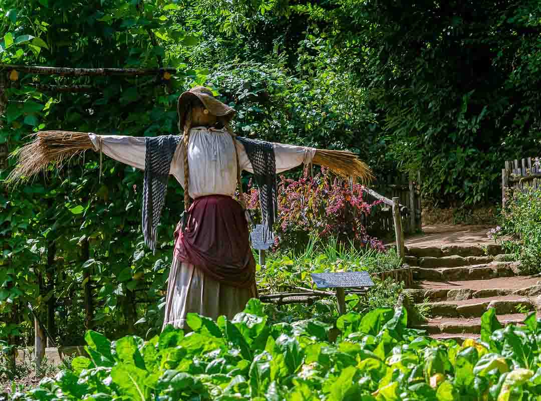 Os primeiros registros históricos do uso de espantalhos com formas humanas estão na Grécia Antiga. Eles ostentavam uma foice e porrete nas mãos. 
