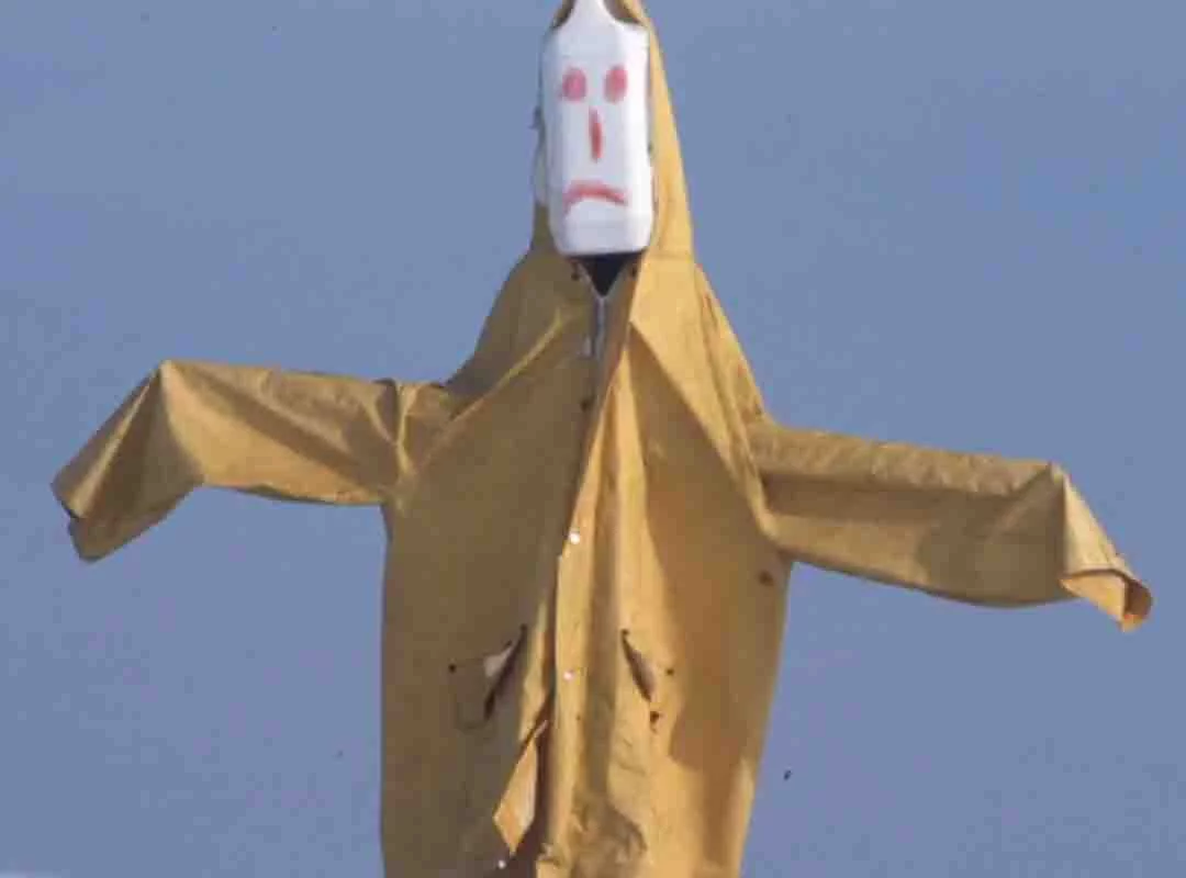 Em 2016, o fotógrafo britânico Colin Garrat percorreu diversas áreas do interior do Reino Unido para fazer o registro de espantalhos usados para espantar predadores nas plantações. As imagens foram expostas à época em uma mostra londrina.

