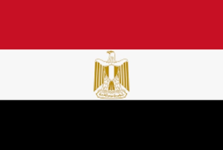 No Egito, crimes como terrorismo, assassinato e traição podem levar à pena capital, com as execuções ocorrendo principalmente por enforcamento