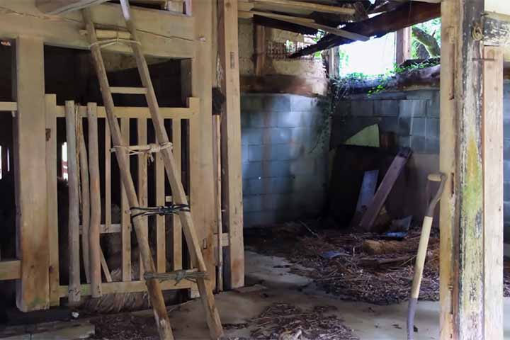 De acordo com dados do Ministério de Assuntos Internos e Comunicação do Japão, 14% dos imóveis residenciais do país estão às moscas. 

