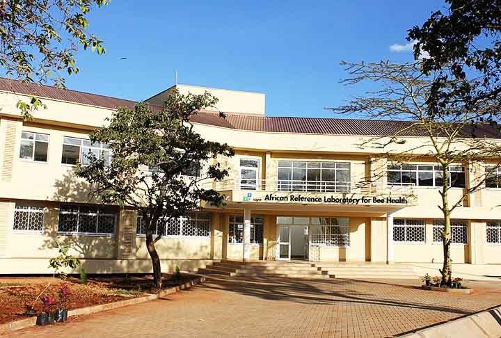 Diante dessa possibilidade, os pesquisadores defendem que isolar essas bactérias e as enzimas produzidas por elas pode ajudar a criar soluções microbianas para degradar os resíduos plásticos em maior escala.