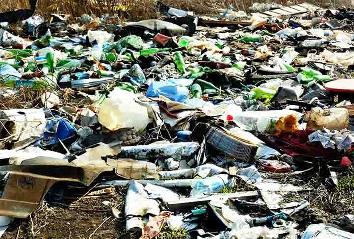 Além disso, o estudo identificou que as entranhas de larvas alimentadas com poliestireno contêm níveis mais altos de Proteobacteria e Firmicutes, bactérias que podem se adaptar a vários ambientes e decompor uma ampla gama de substâncias complexas.