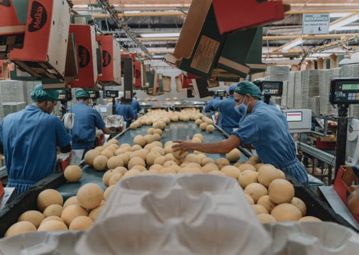 ￼MELÃO não está na lista de frutas citadas pela França que deve ser impactada pela medida