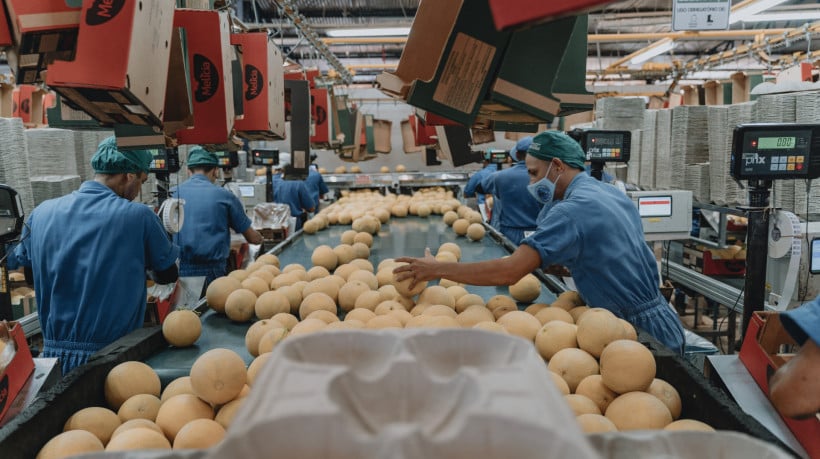 ￼MELÃO não está na lista de frutas citadas pela França que deve ser impactada pela medida