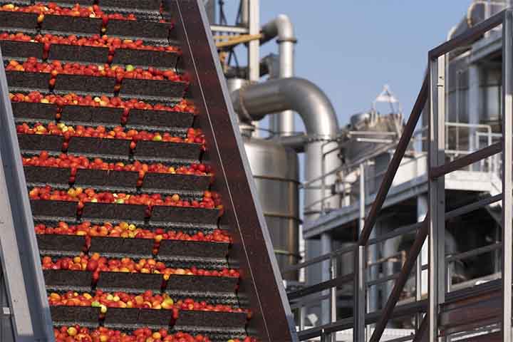 No Brasil, a introdução da massa coube aos imigrantes Italianos da região Sul do país. O crescente interesse fez surgir pequenas fábricas de massa, tendo sempre como mão de obra, a família italiana.