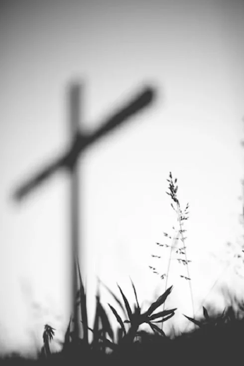 Carl Sagan faleceu em 20 de dezembro de 1996, após uma longa batalha contra a mielodisplasia, uma doença que compromete a produção de células sanguíneas, agravada por uma pneumonia.