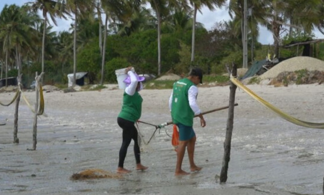 Para as catadoras de mariscos, que ganham na faixa de um salário mínimo pela coleta, a expansão de um projeto sustentável permite vislumbrar uma melhor qualidade de vida, além de abrir espaço para empregos também nas fábricas. 