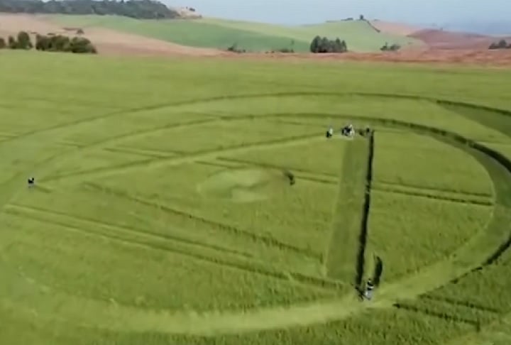 Na ocasião, foi constatado que havia um alinhamento “perfeito” do desenho. Além disso, o trigo não estava deitado ou com galhos quebrados.