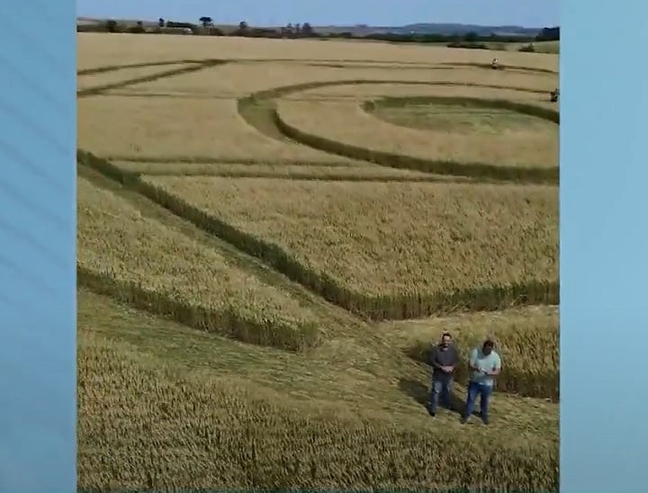 Depois de coletar fotos, vídeos e materiais do local, a equipe disse que no momento não dá para confirmar se o agroglifo é realmente verdadeiro”.