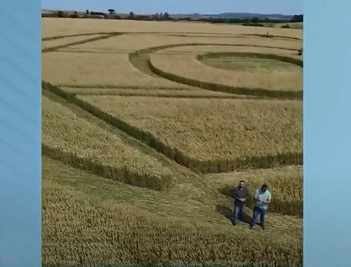 Depois de coletar fotos, vídeos e materiais do local, a equipe disse que no momento não dá para confirmar se o agroglifo é realmente verdadeiro”.