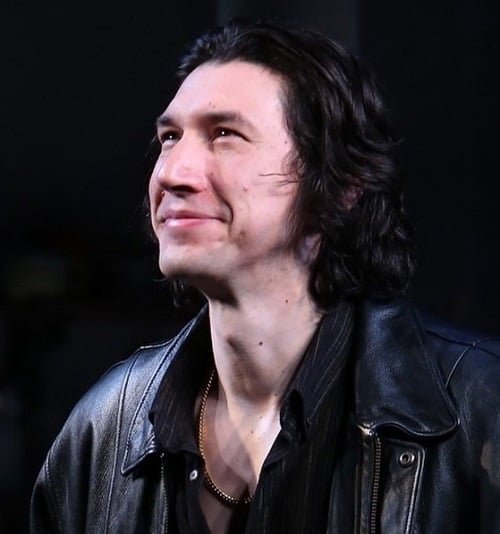 Adam Driver é um dos atores mais talentosos da atualidade. Conhecido por sua versatilidade em filmes maiores e produções independentes, o ator completou 41 anos em 19/11.