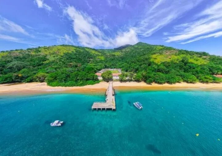Os corpos das três capivaras foram encontrados na ilha Anchieta, parque estadual localizado em Ubatuba, no litoral norte paulista. Elas foram vítimas de encefalite provocada pelo mesmo vírus da raiva presente em morcegos-vampiros. Vale ressaltar que não há registro de transmissão de raiva humana por capivaras. 

