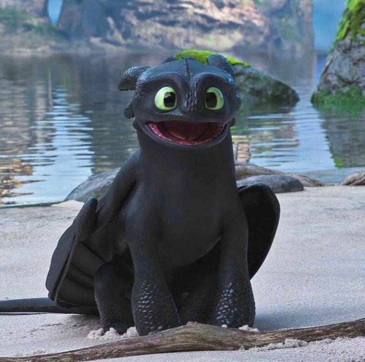 E quem não ama o fofíssimo Banguela, de Como Treinar o Seu Dragão”? Com seu jeito simpático e amável, ele deixou muita gente encantada depois de assistir ao primeiro filme em 2010.