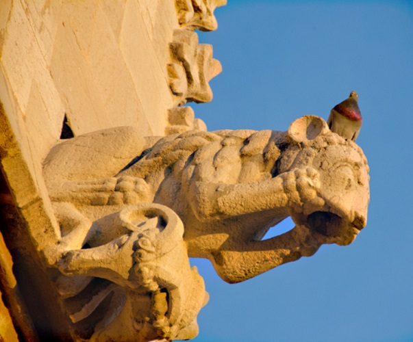 No entanto, essas esculturas não devem ser confundidas com quimeras (foto), que também aparecem nas construções góticas, mas que têm uma anatomia completamente diferente, misturando elementos de vários animais, como leões, dragões e bodes.