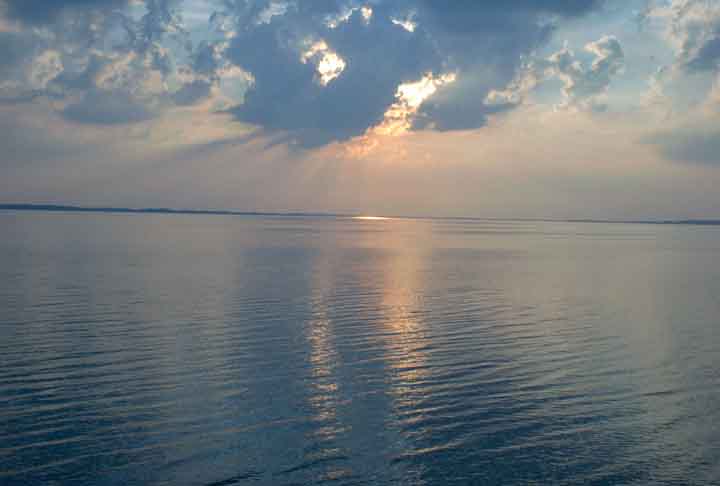 A integridade do Vasa após tanto tempo se explica pela água do Mar Báltico, de baixa temperatura e pobre em oxigênio, condições que afastaram bactérias capazes de consumir sua estrutura. No interior do Vasa foram encontradas ossadas das vítimas do naufrágio. Ao menos 30 das 150 pessoas a bordo morreram.

