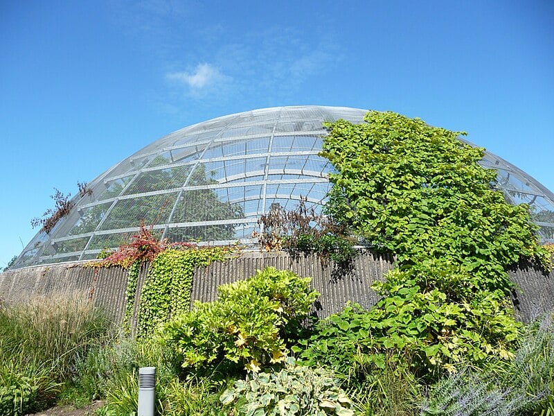 O Zoológico de Blackpool (foto), em Lancashire, na Inglaterra, informou com “coração partido” que dois elefantes asiáticos sob risco de extinção perderam seus filhotes no local. “Todo o rebanho de elefantes está de luto”, declarou a instituição.
