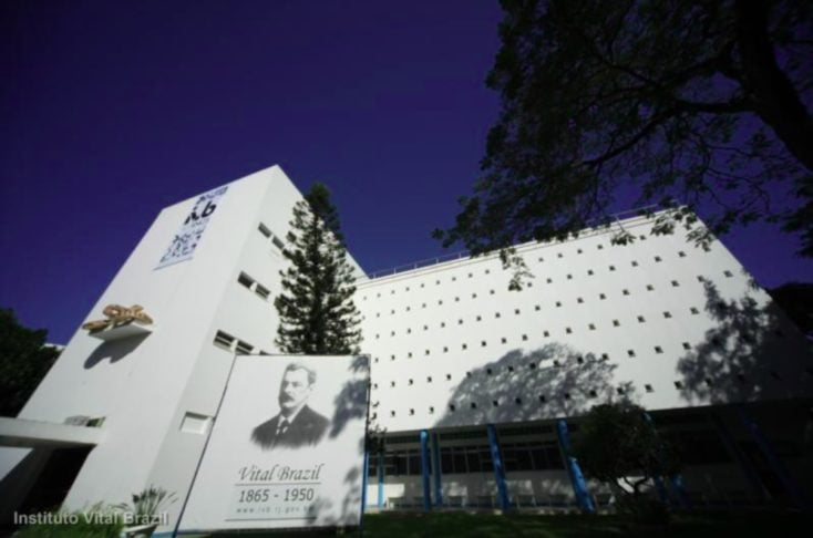 Em março de 2024, o Instituto Vital Brazil (foto) e a Prefeitura do município de Armação dos Búzios (RJ) divulgaram um alerta sobre infestação de escorpião-amarelo na  região. 