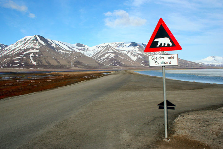 Chamada de Ice Bed (Cama de gelo), a forografia foi feita pelo fotógrafo amador britânico Nima Sarikhani, em Svalbard, na Noruega. 