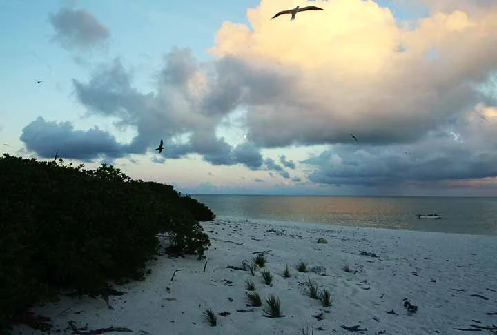 Localizado no extremo noroeste do arquipélago havaiano, Kure Atoll é um dos atóis mais isolados do mundo. É administrado como parte do Papahānaumokuākea Marine National Monument, é vital para a preservação de aves marinhas e espécies ameaçadas.
