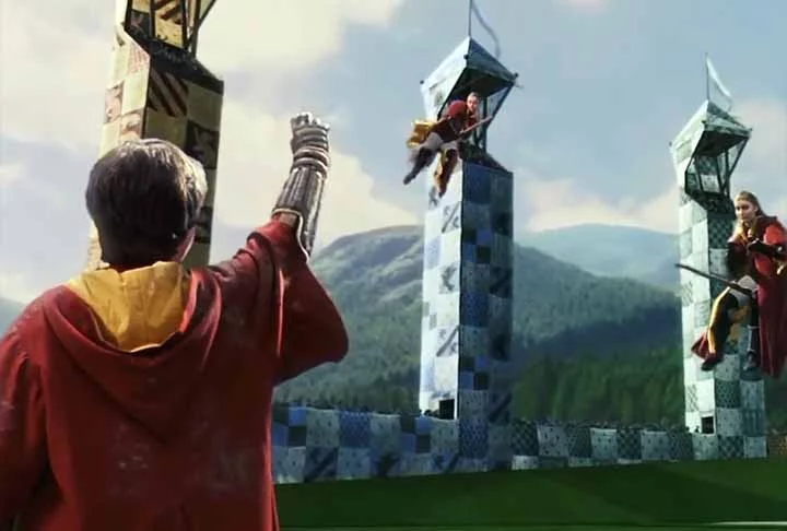 No quarto livro, O Cálice de Fogo, Harry participa do Torneio Tribruxo e testemunha a captura do pomo de ouro por Viktor Krum, apanhador da equipe da Bulgária, durante a Copa Mundial de Quadribol.