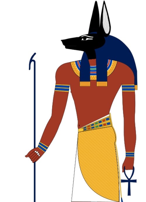 Anúbis, representado com a cabeça de chacal, era o deus da mumificação e da vida após a morte. Ele era o protetor das tumbas e dos mortos, e sua função era garantir que o corpo fosse preservado para a vida eterna.