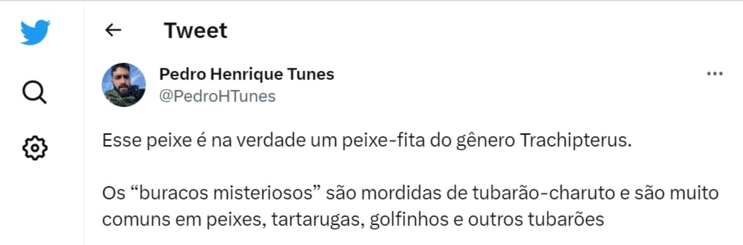 Porém, no Twitter, o biólogo Pedro Henrique Tunes desvendou o mistério. Trata-se de um peixe-fita, do gênero Trachipterus. 