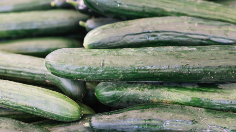 Foto de apoio ilustrativo. Foram identificados 6 locais onde houve aglomerações de contaminação