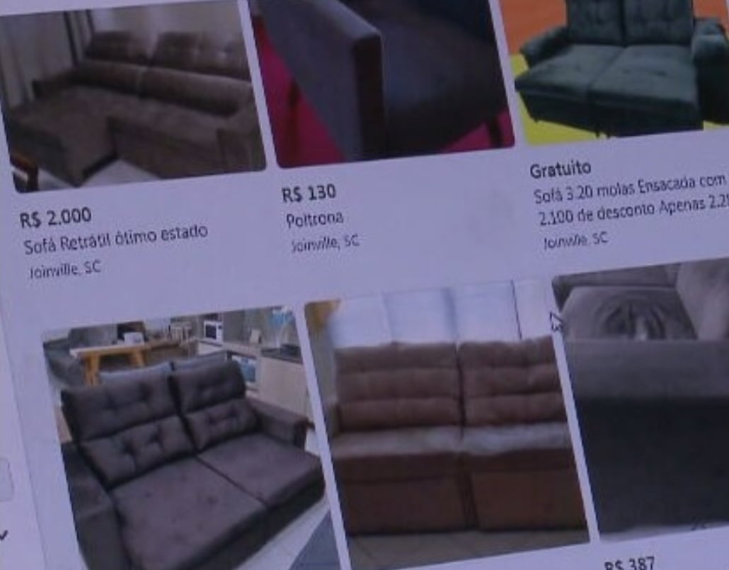 Ela pesquisou e encontrou um sofá adequado para sua expectativa. Só não imaginava que uma cachorrinha, como disse a Frada, chegaria como brinde. 