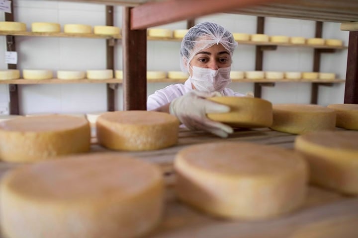 O prêmio, concedido pela Organização das Nações Unidas para a Educação, a Ciência e a Cultura (Unesco), foi decidido depois de uma votação realizada em Assunção, no Paraguai.