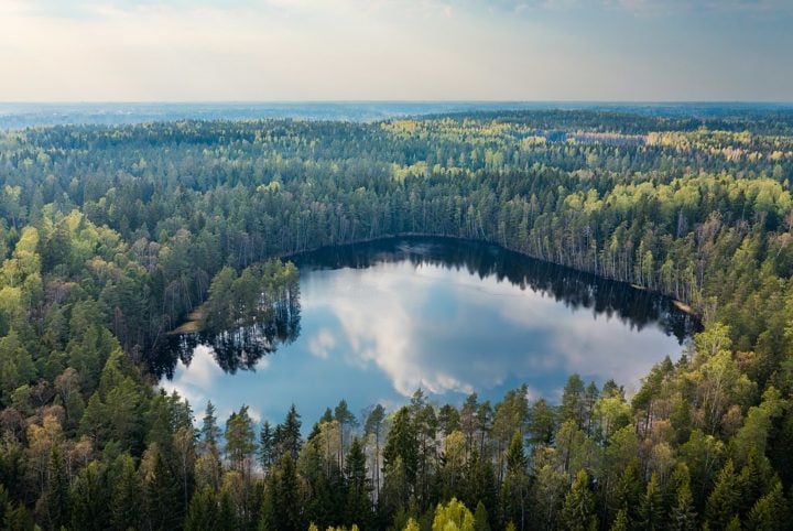 Por abrigar uma grande quantidade de lagos e florestas, a Finlândia ganhou o apelido de terra dos mil lagos. 