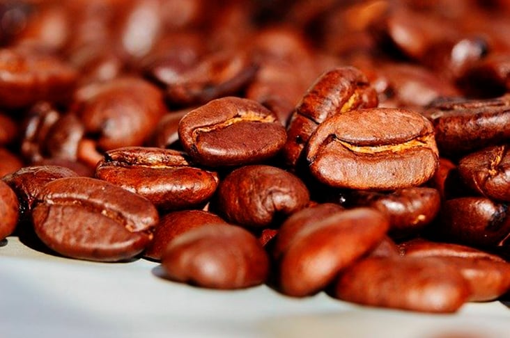 Os maiores consumidores - O natural é pensar que nós brasileiros são o povo que mais consome café no mundo, já que ele está incluso na vida de tantas pessoas. Porém, segundo a OIC, os maiores consumidores de café per capita no mundo são os finlandeses, pois lá cada pessoa bebe em média cerca de 12 kg de café por ano.