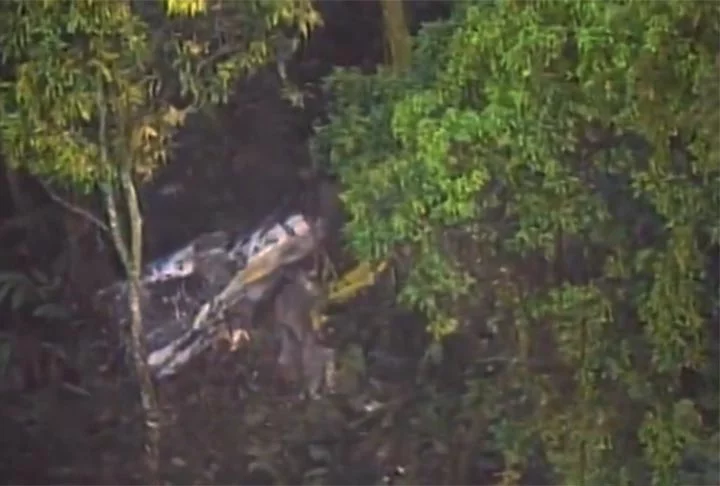 Mas no dia 2/3/1996, todos morreram num acidente com avião na Serra da Cantareira, no norte de São Paulo.  