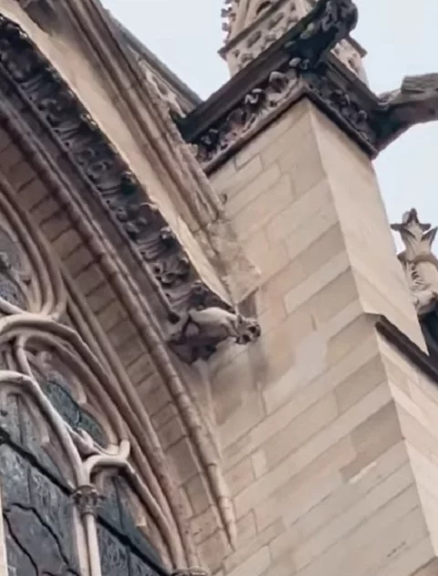Originalmente, as gárgulas foram criadas como sistemas de drenagem para conduzir a água da chuva para longe das paredes das catedrais, evitando que a umidade danificasse a estrutura das igrejas.