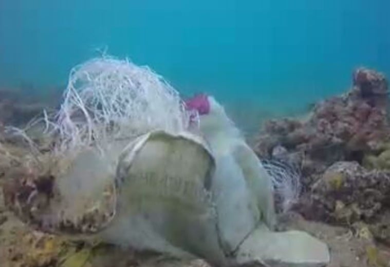 A quantidade de lixo que as pessoas jogam na água ou na areia é tão impressionante que os salvamentos no centro de recuperação de animais silvestres é recorrente. 