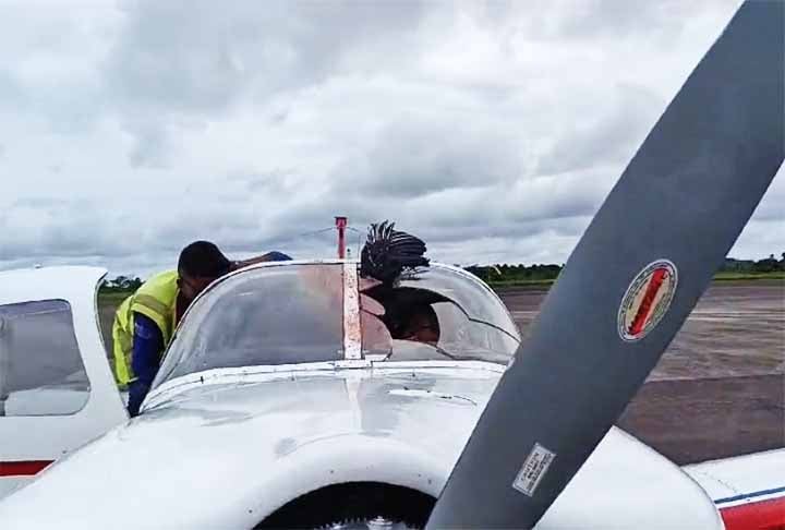 O aeródromo fica perto a um lixão municipal, onde tem resíduos, inclusive hospitalares e abate de animais. Algo que atrai aves de rapina e que buscam carniça, como os urubus. 