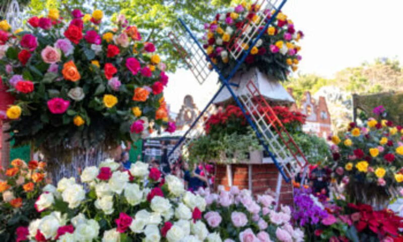 O Natal está no ar na cidade de Holambra, conhecida como a Capital Nacional das Flores. O Parque da Exploflora, onde anualmente acontece a exposição de flores, recebe também o evento natalino, com shows, danças, comidas típicas e decoração caprichada. 