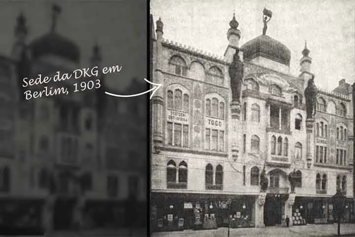 No local, não existe uma única árvore ao longo dos mais de mil quilômetros de costa. Dessa forma, além dos arbustos, outra atração biológica da costa dos esqueletos são os líquens, que ocorrem com grande abundância e diversidade.