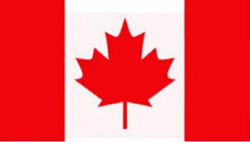 Para quem não lembra, aí está a bandeira do Canadá com o seu símbolo maior: uma folha de bordo. 