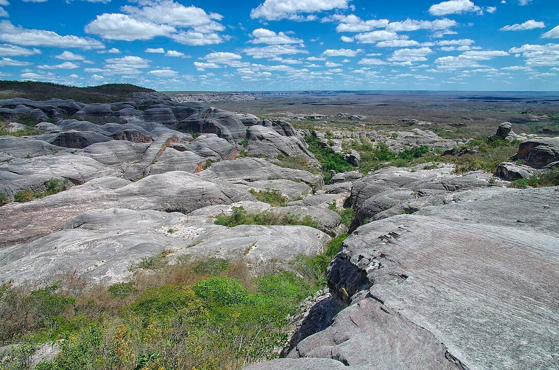 O Parque Nacional da Serra das Confusões, onde estava o esqueleto, foi criado em 1998, fica no sudoeste do Piauí e abrange 12 municípios.  É um dos locais de natureza protegida do estado. 