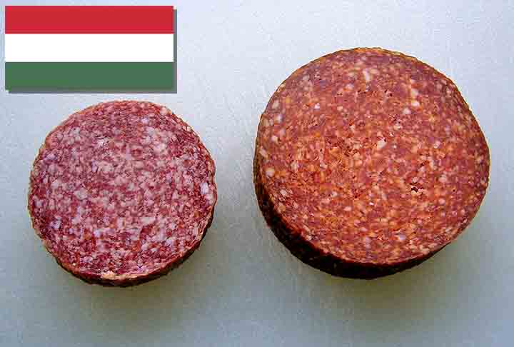 11º) Szegedi szalámi (Hungria) - Originário da cidade de Szeged, no sul da Hungria, é temperado com especiarias, como alho, pimenta-do-reino e a icônica páprica húngara, que dá ao salame seu sabor distinto. 