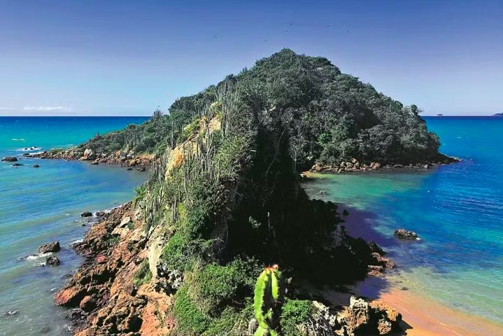 Segundo o jornal, os lugares com as praias mais bonitas do Brasil são: Paraty (RJ), Angra dos Reis (RJ), Arraial do Cabo (RJ) e Armação dos Búzios (RJ). Conheça mais sobre cada um desses locais!