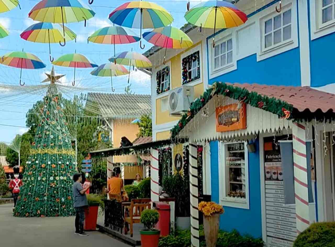 Localizada no estado do Rio de Janeiro, mas bem próxima a São Paulo, Penedo é uma pequena cidade que carrega uma curiosa história e um charme europeu que a torna um destino turístico especial no Brasil.