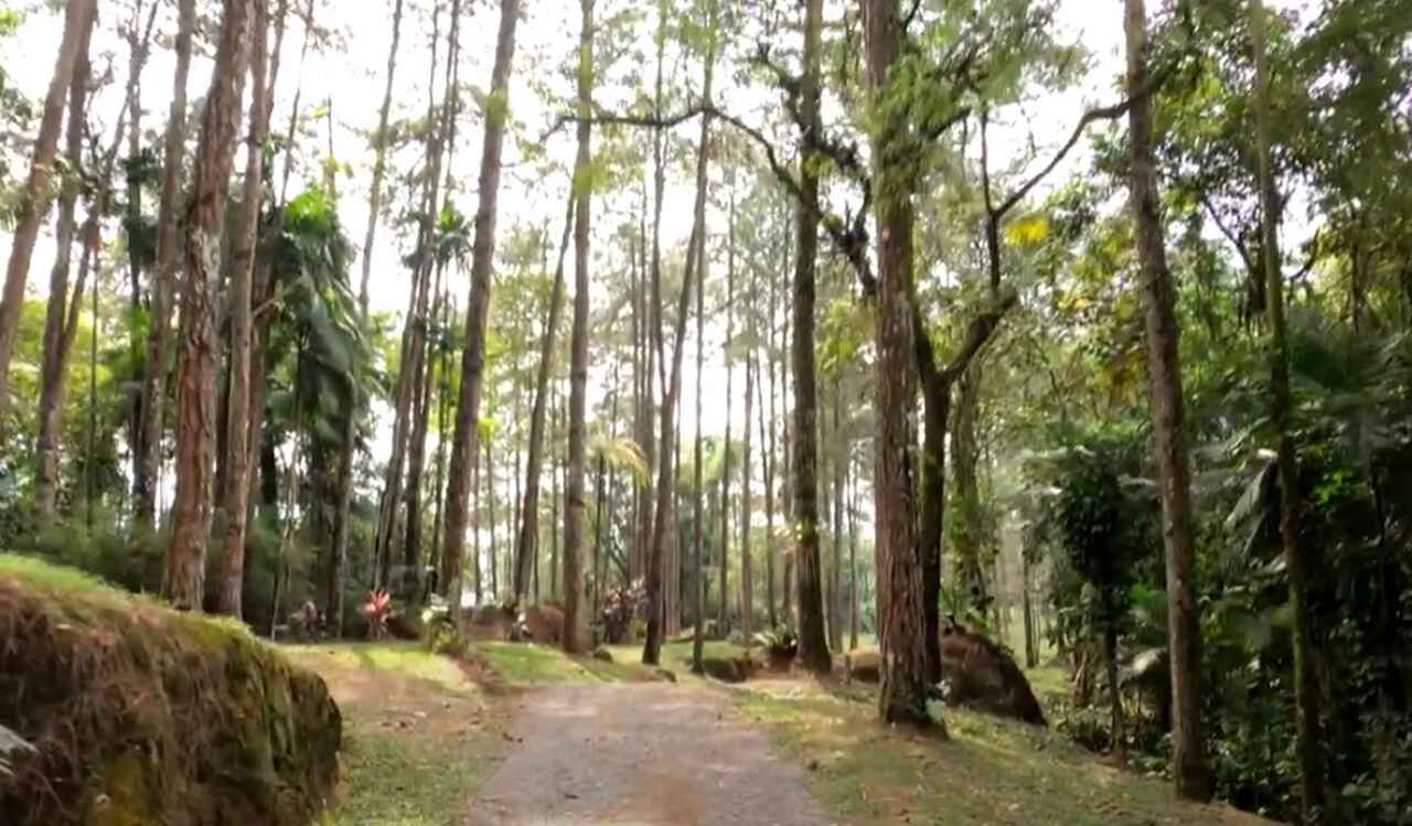 A cidade também é um excelente ponto de partida para quem deseja conhecer os arredores, como Visconde de Mauá, com suas águas cristalinas e paisagens montanhosas, ou a Serrinha do Alambari - região próxima que oferece trilhas, poços e esportes de aventura em meio a uma natureza intocada.