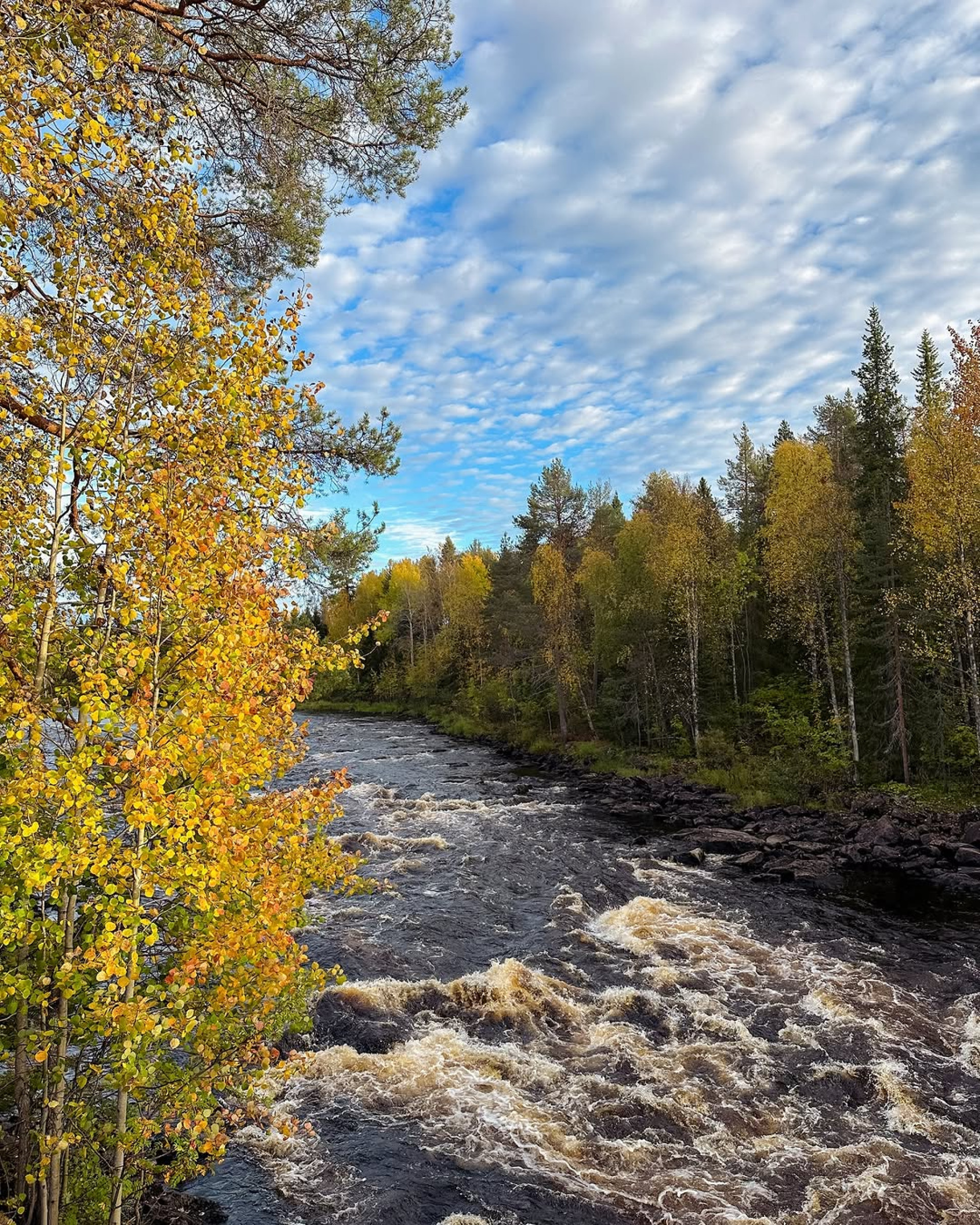 Lar do Papai Noel? Conheça a Lapônia, região onde o Natal é celebrado o ano todo