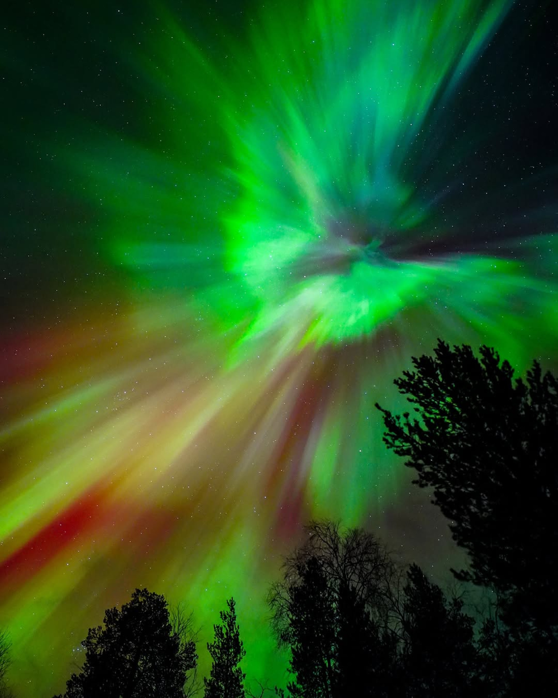 Lar do Papai Noel? Conheça a Lapônia, região onde o Natal é celebrado o ano todo